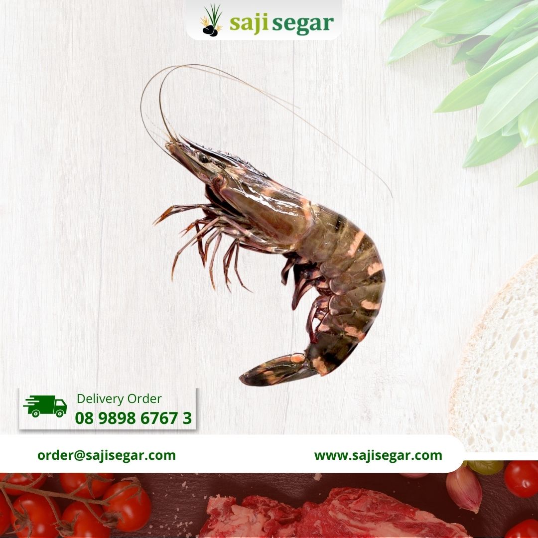 Pancet Udang Windu PK / Udang Pancet Tanpa Kepala / Tiger Udang Sz 20-25 - 500gr